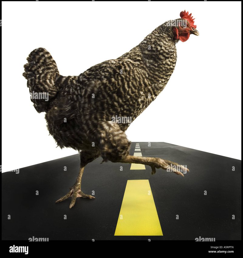 De Populaire Chicken Road Gokkast in Nederland: Een Online Gokspel Sensatie, chicken road game